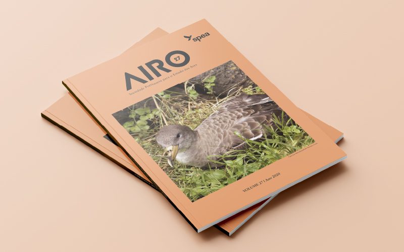 Airo
