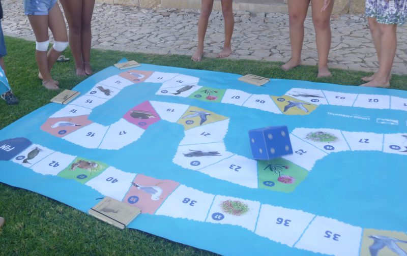 Ecossistemas insulares: uma vizinhança apertada