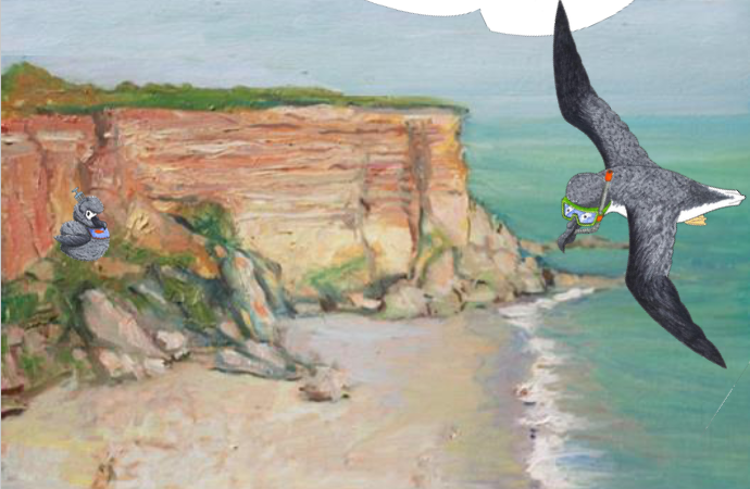 Programa Educação Ambiental LuMinAves