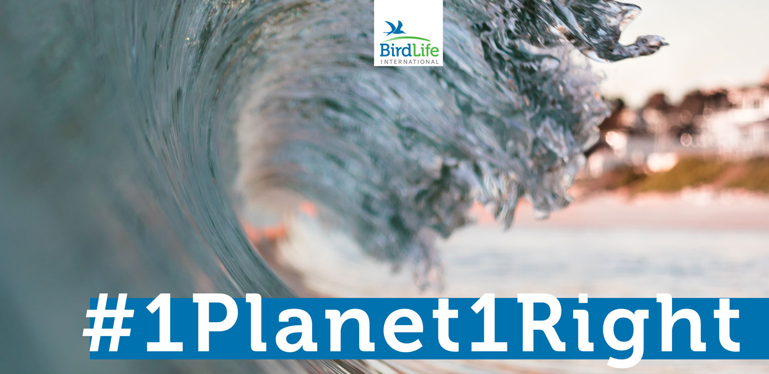 cartaz petição #1Planet1Right com onda do mar