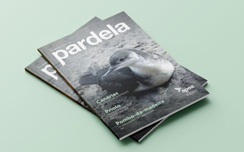 Capa da revista Pardela
