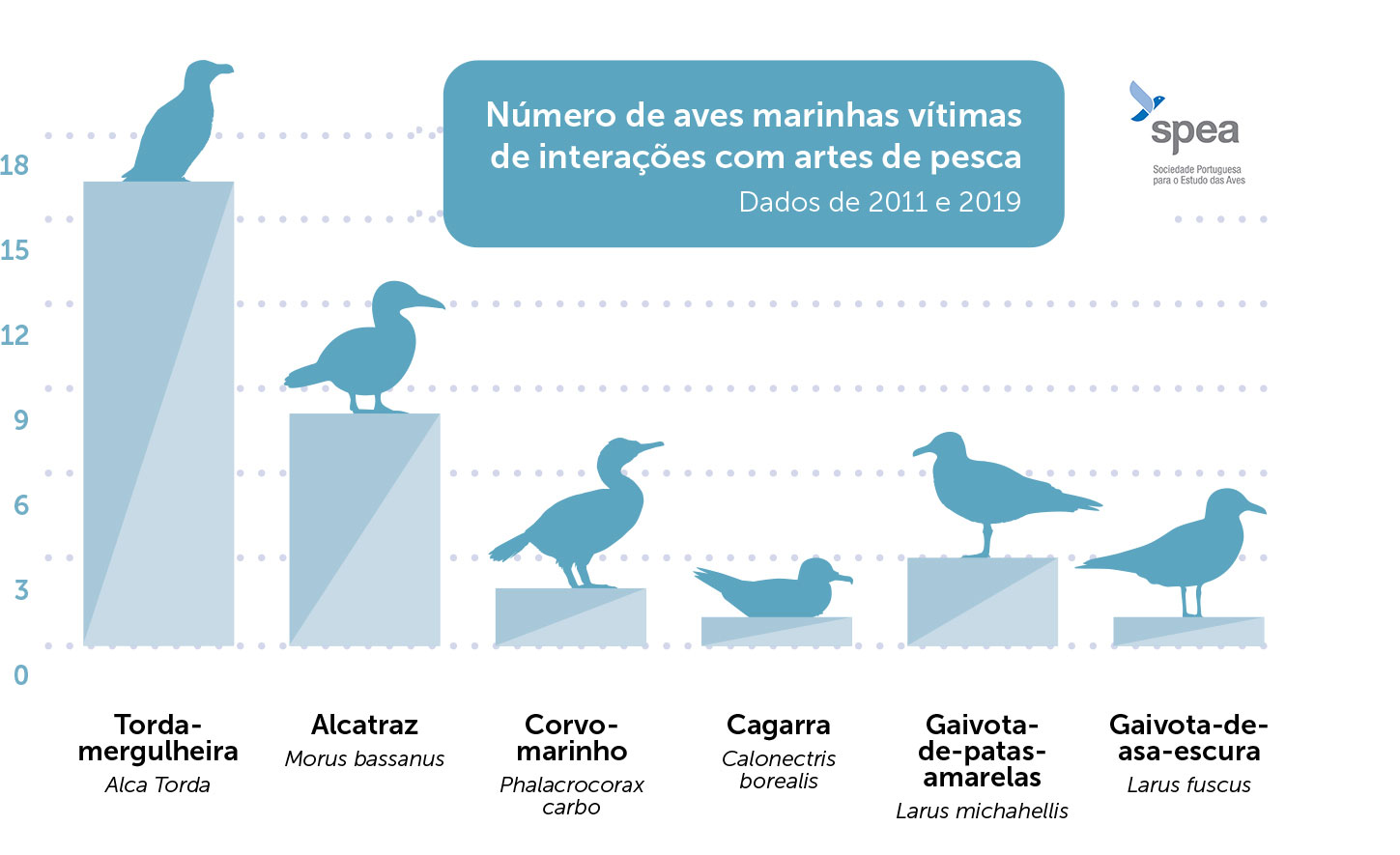 gráfico mostrando as espécies de ave mais encontradas arrojadas na praia